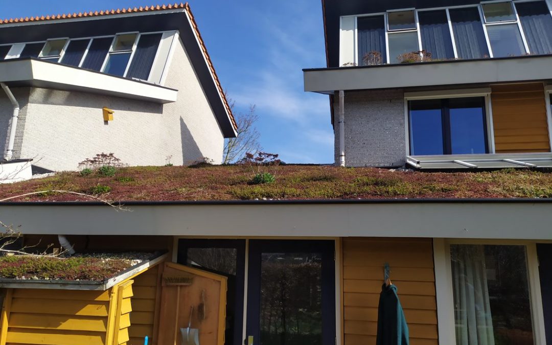 Climate Miles maakt tussenstop bij grootste groene dakenproject in Deventer