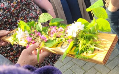 Samenwerking in Kootstertille bloesemt met Tille’s Fruittuin